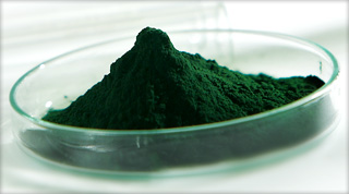 Spirulina para inhibir el apetito y combatir las “enfermedades de los adultos”